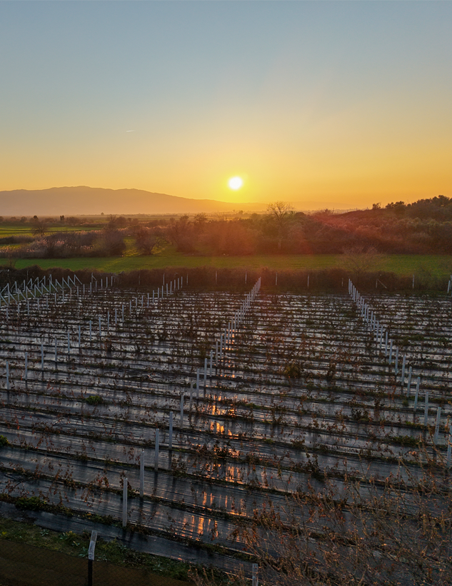 35 Yıllık Tecrübe ile Yerel Kalkınma İçin İlk Adım