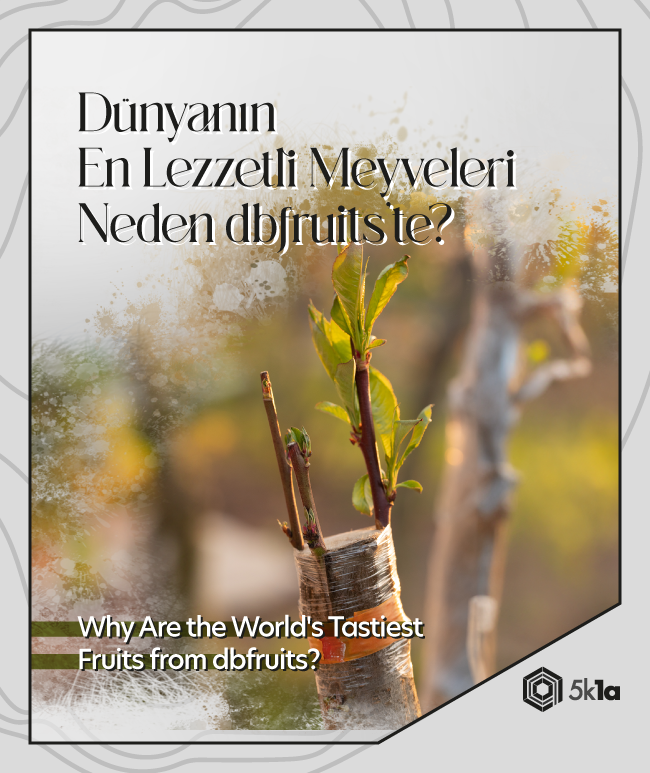 Dünyanın En Lezzetli Meyveleri
