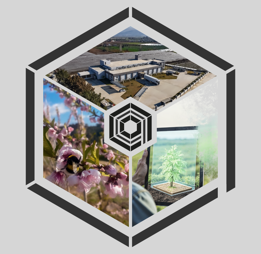 Birlikte Öğrenen ve Büyüyen Bir Aile