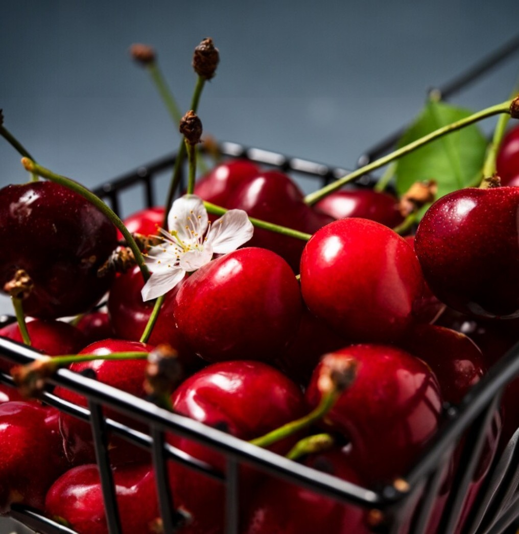 Dünyaya Taze Bir Dokunuş